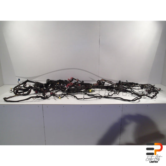 Audi RS4 Avant Cable Harness Inboard 8E1971141F picture 1